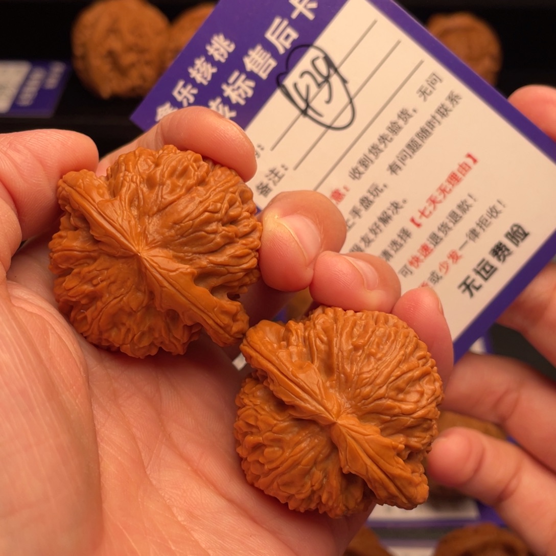 文玩核桃把件白狮41