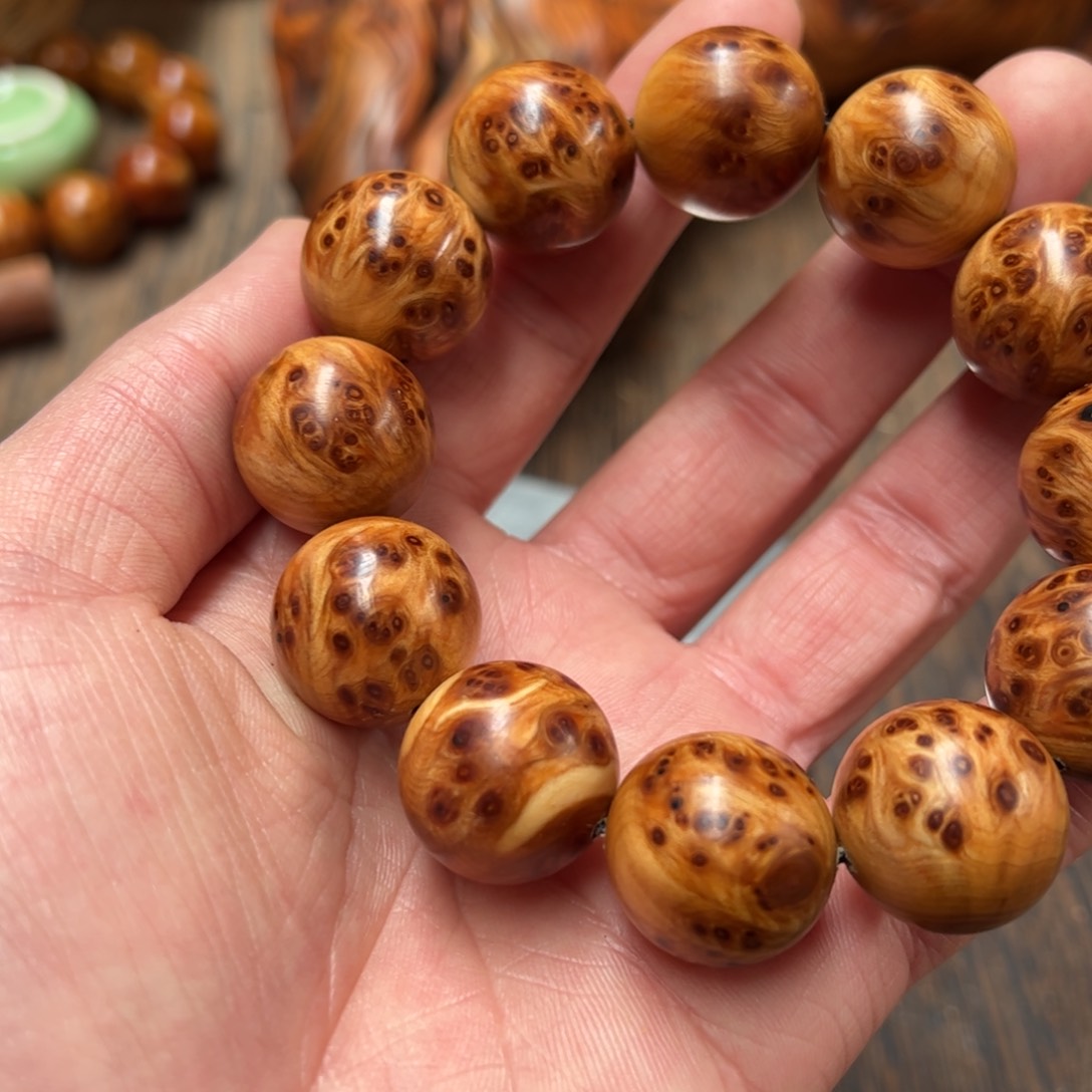 太行崖柏陈化太行