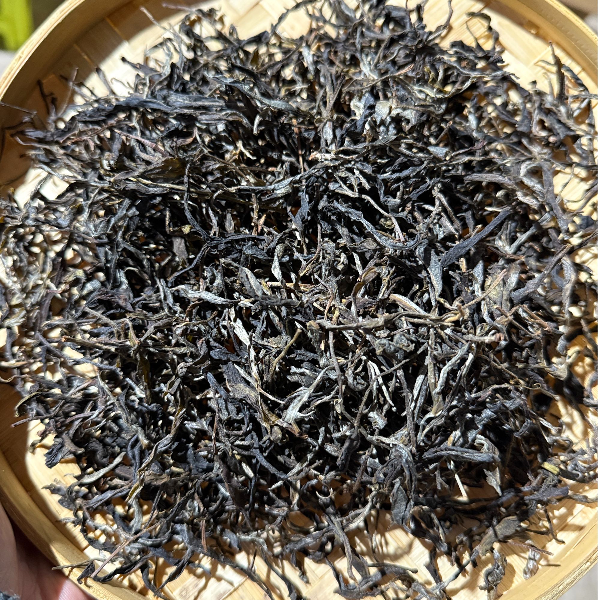 2025年刮风寨 生茶 普洱茶  生茶散茶150克
