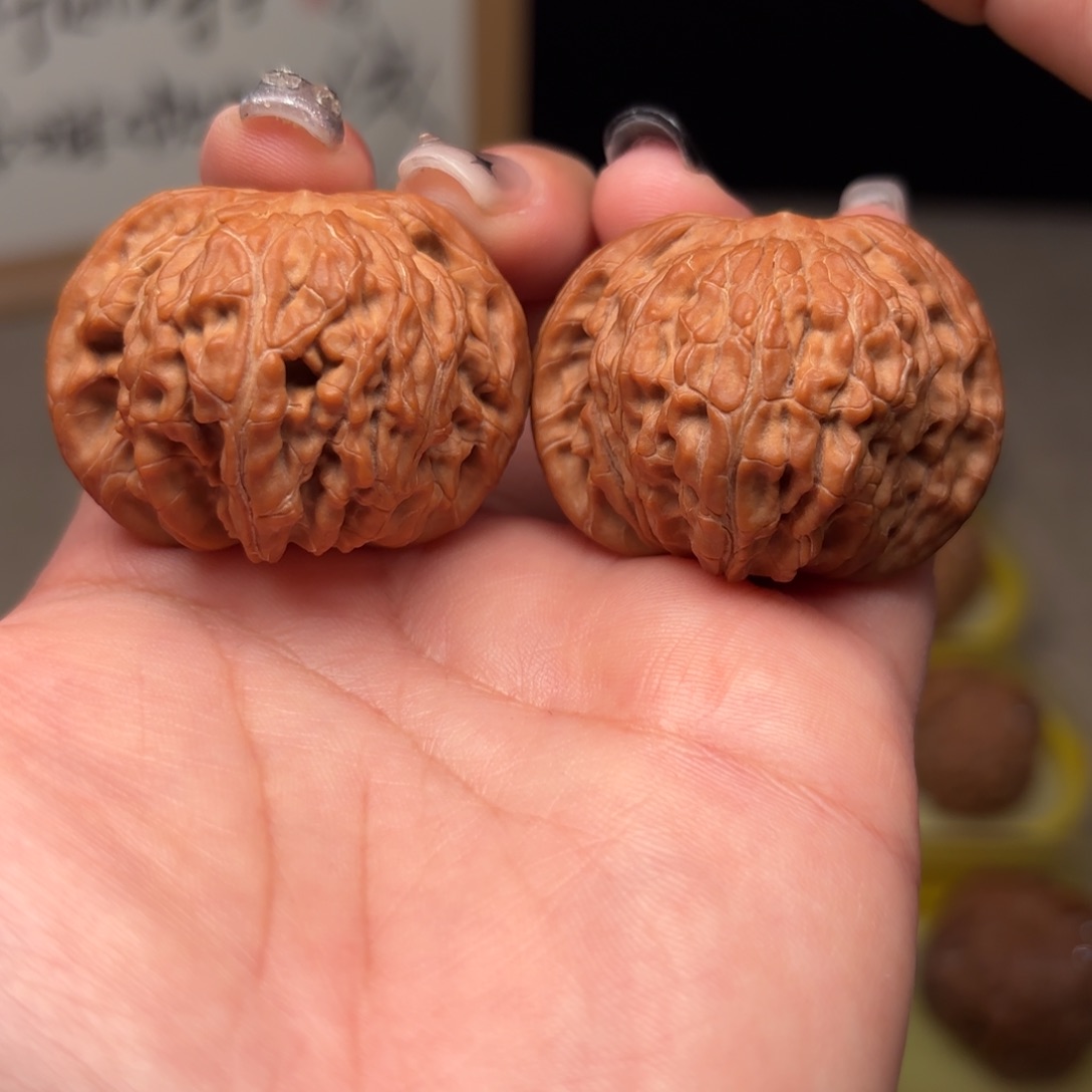 41 尺全品无修红皮山地正磨