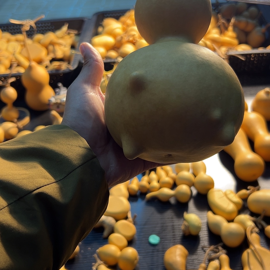 财宝葫芦葫芦葫芦