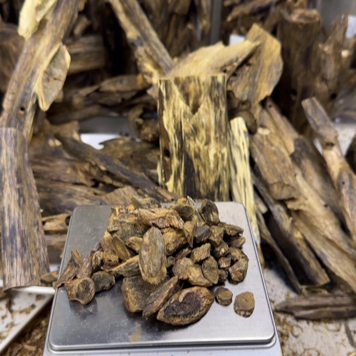 *****沉香乌身圆叶树丁30克