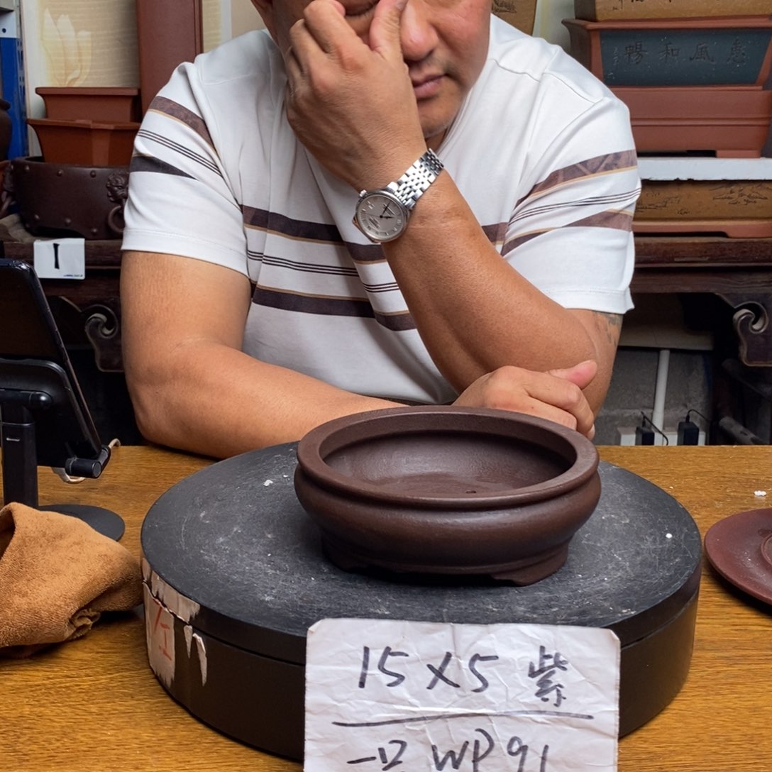 紫砂货号一只WP91