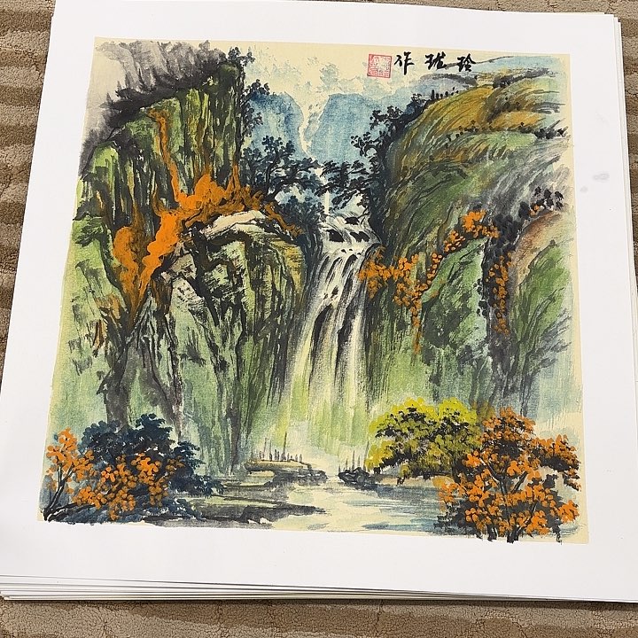 国画花鸟的翅膀是白色50.50