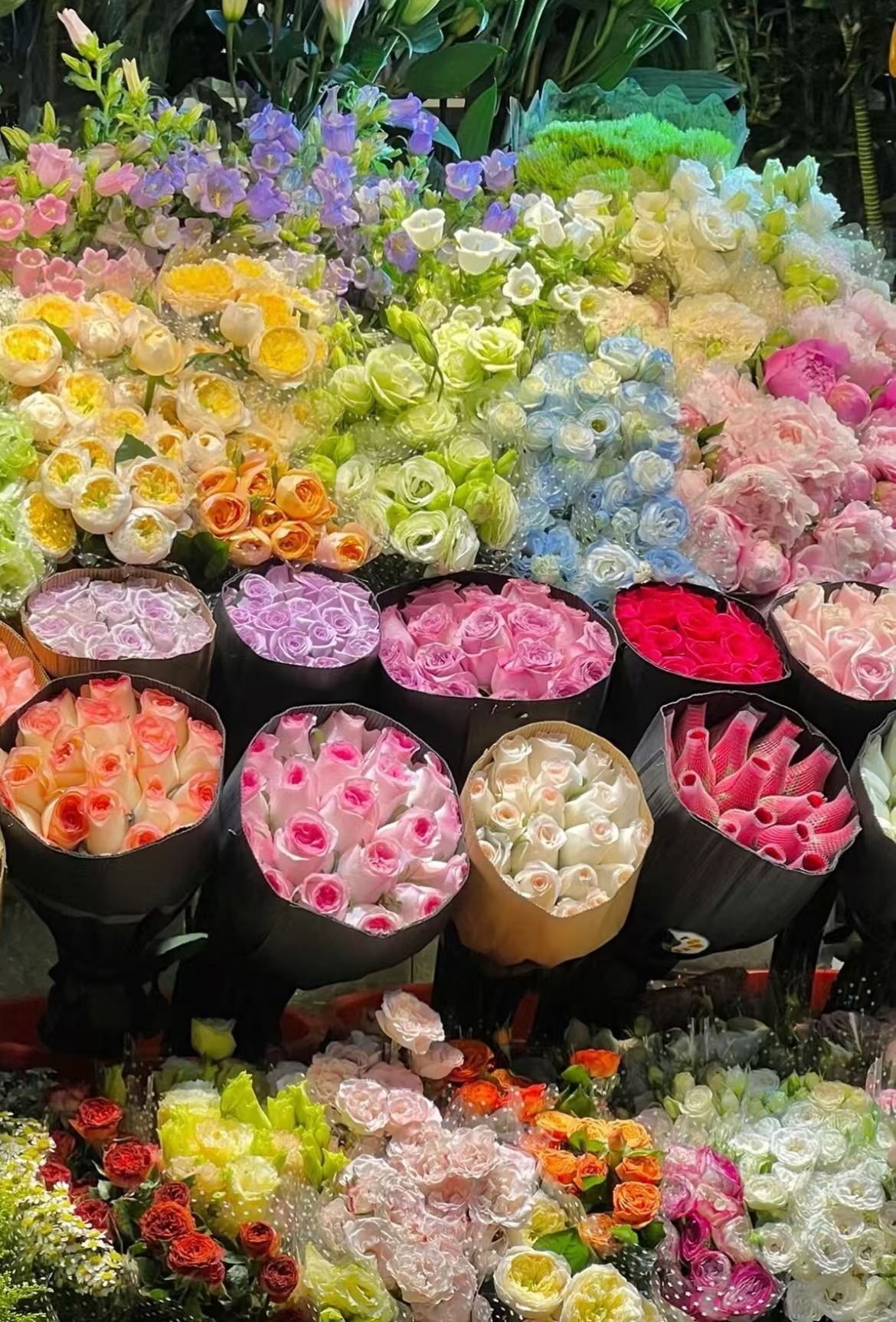 【碎冰蓝香槟】--云南基地新鲜现采现发-收到货需要醒花（6-8小时）