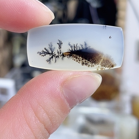 玛瑙/玉髓珠宝奇石未镶嵌