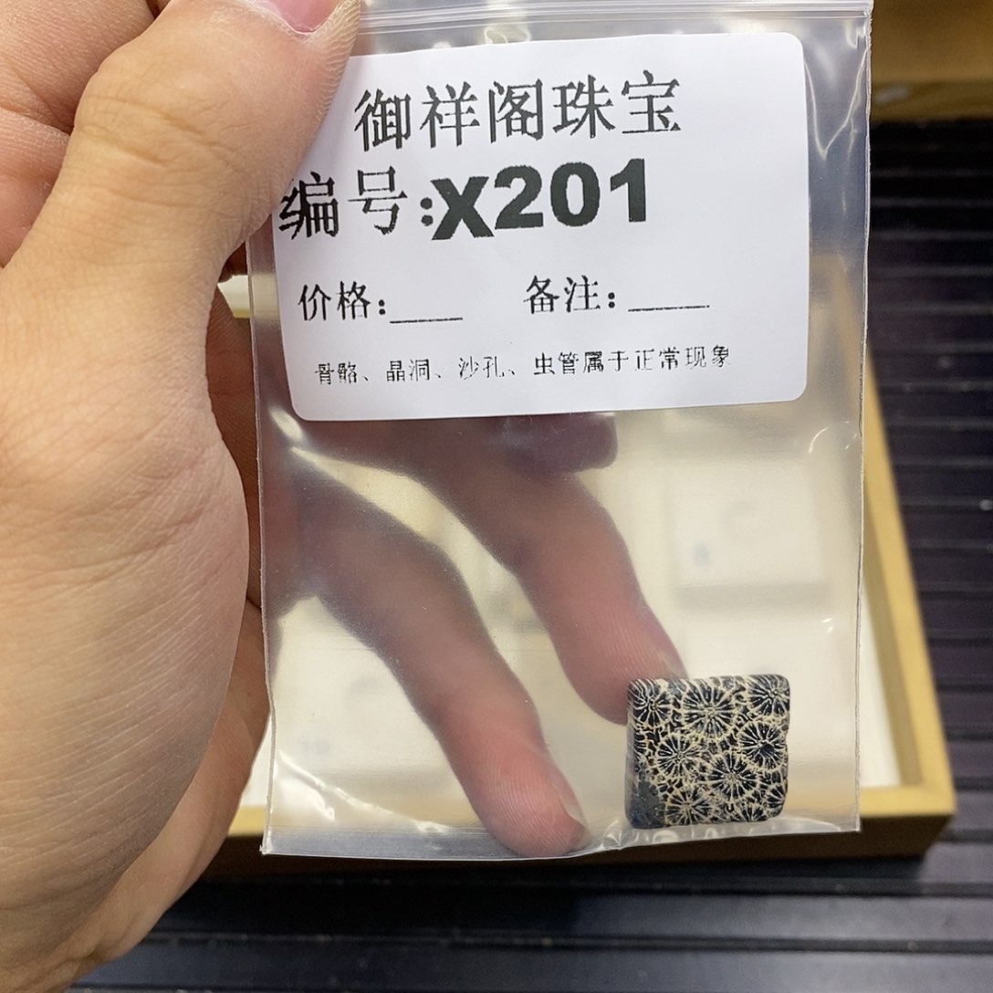 硅化珊瑚（珊瑚玉）未镶嵌颈饰宝*熊