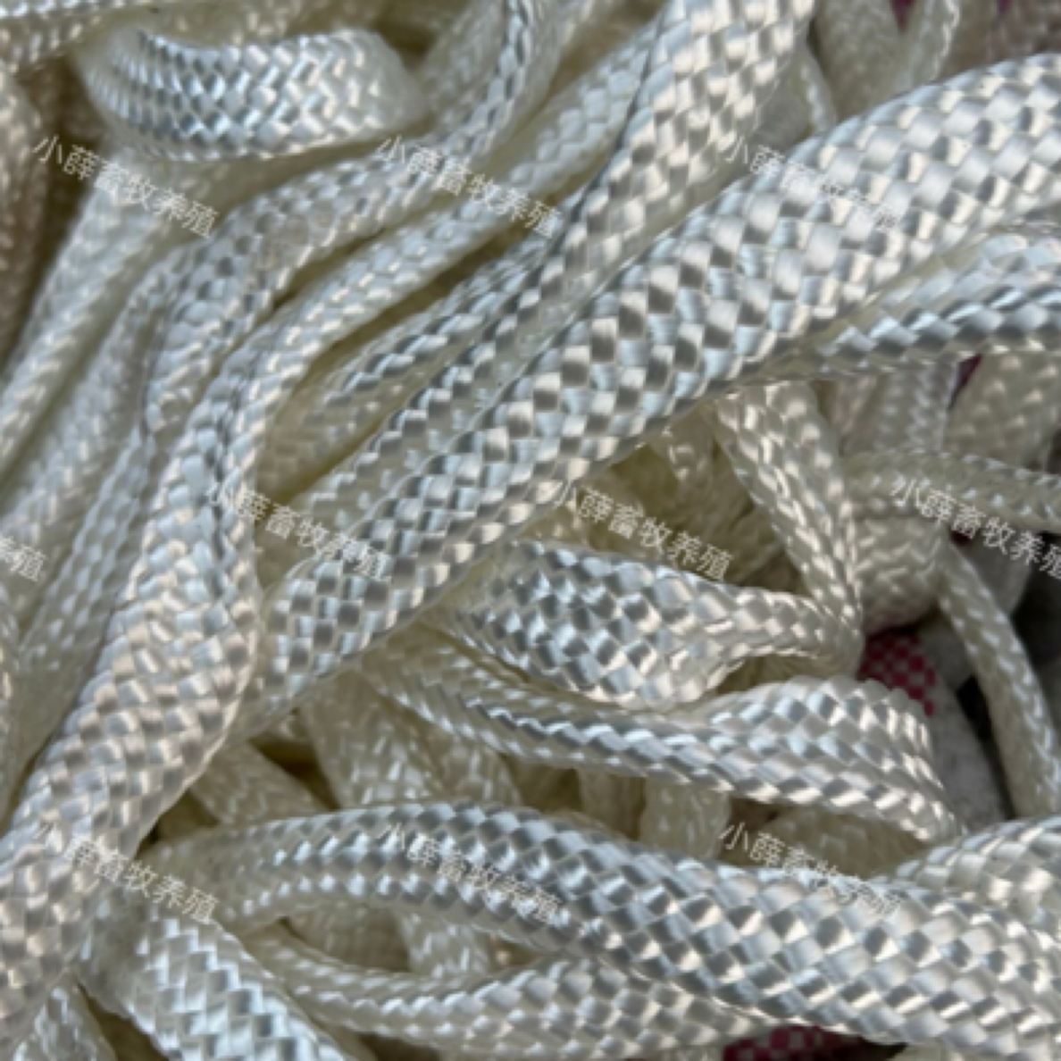 高强耐磨飞机绳降落伞绳货车货物捆绑绳栓牛羊绳