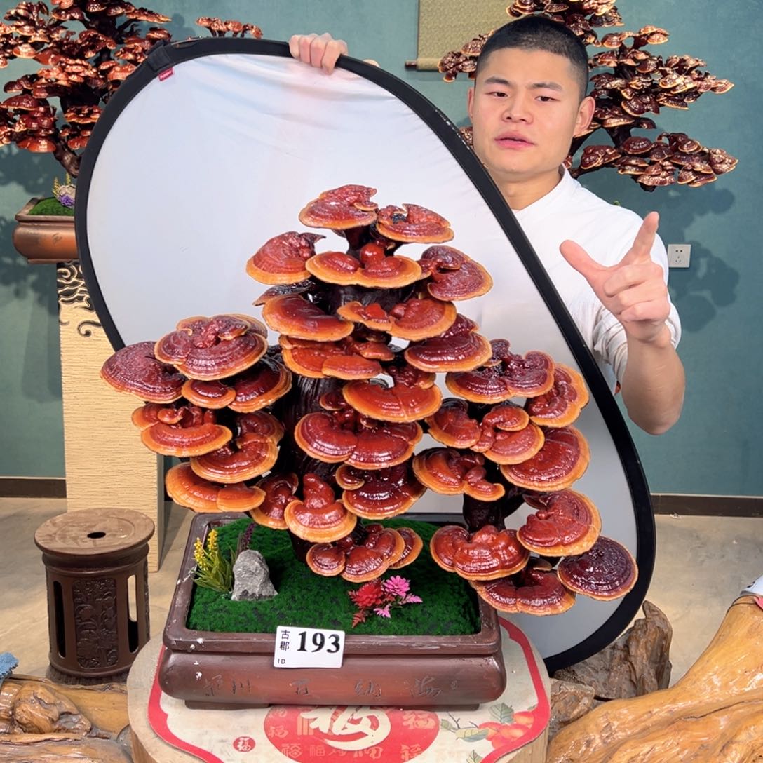 无花朵88888888888