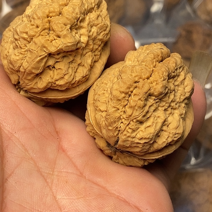 文玩核桃把件云南铁核桃36