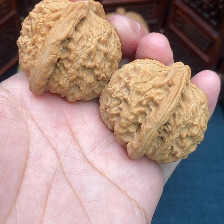 文玩核桃把件白狮子全品44尺