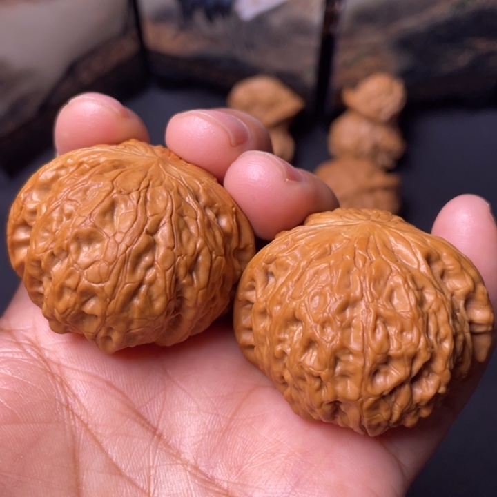 核桃41矮桩铁锤。     