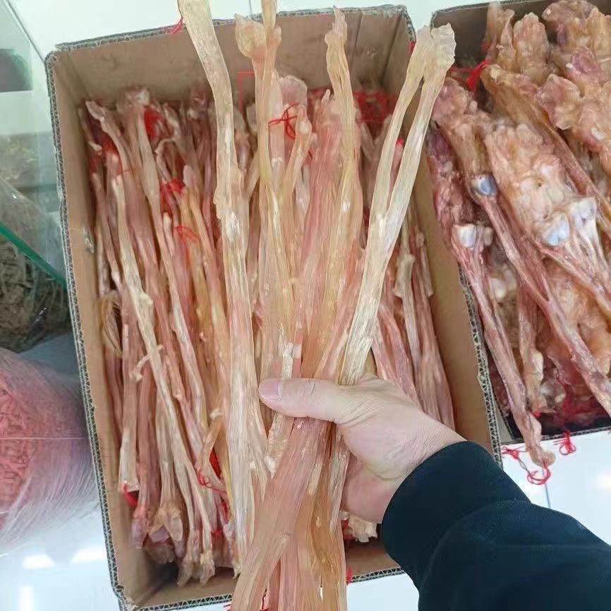 梅花鹿鹿腿筋干品
