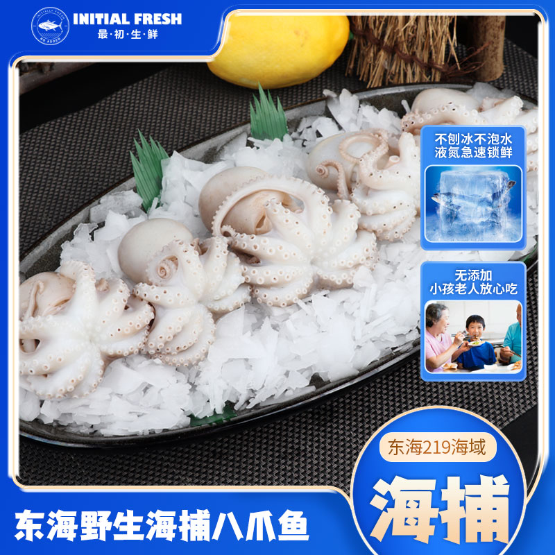 正宗东海野生海捕八爪鱼小章鱼