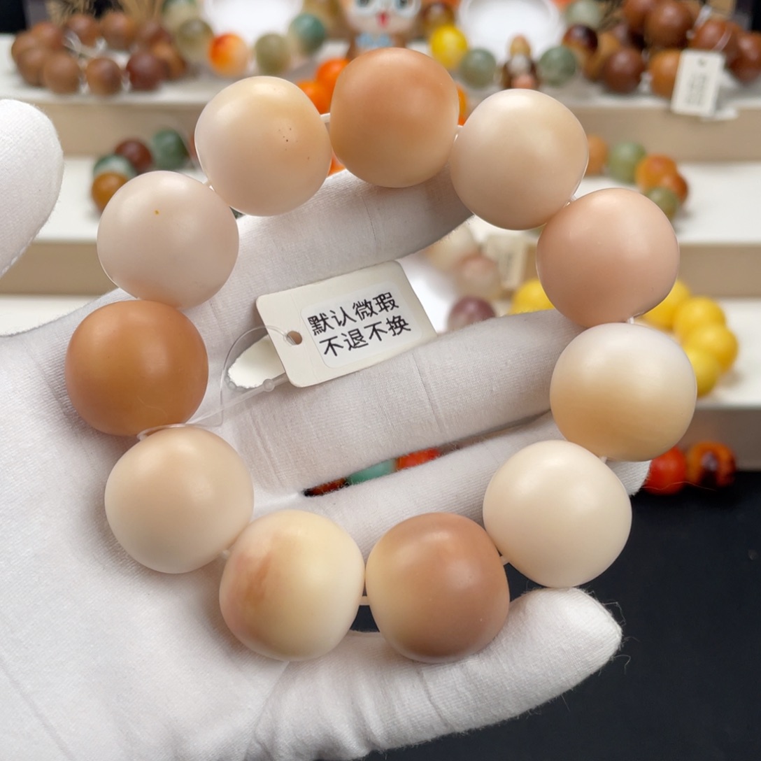 菩提根/象牙果吊坠卡23.5钙化