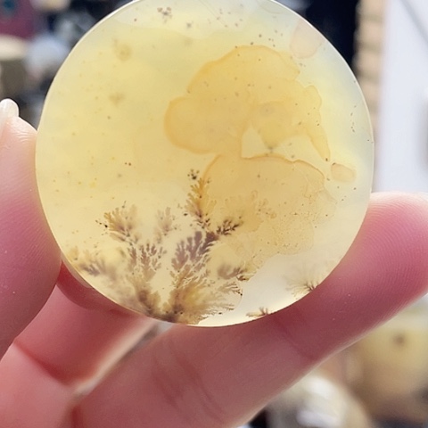 玛瑙/玉髓珠宝奇石未镶嵌