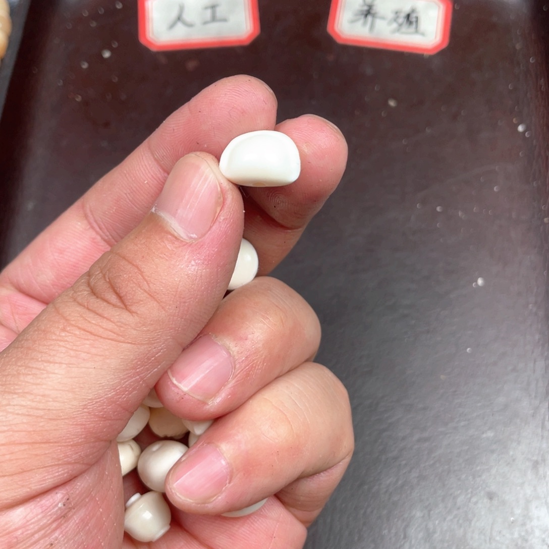 驼骨手串/手链编号30随机发