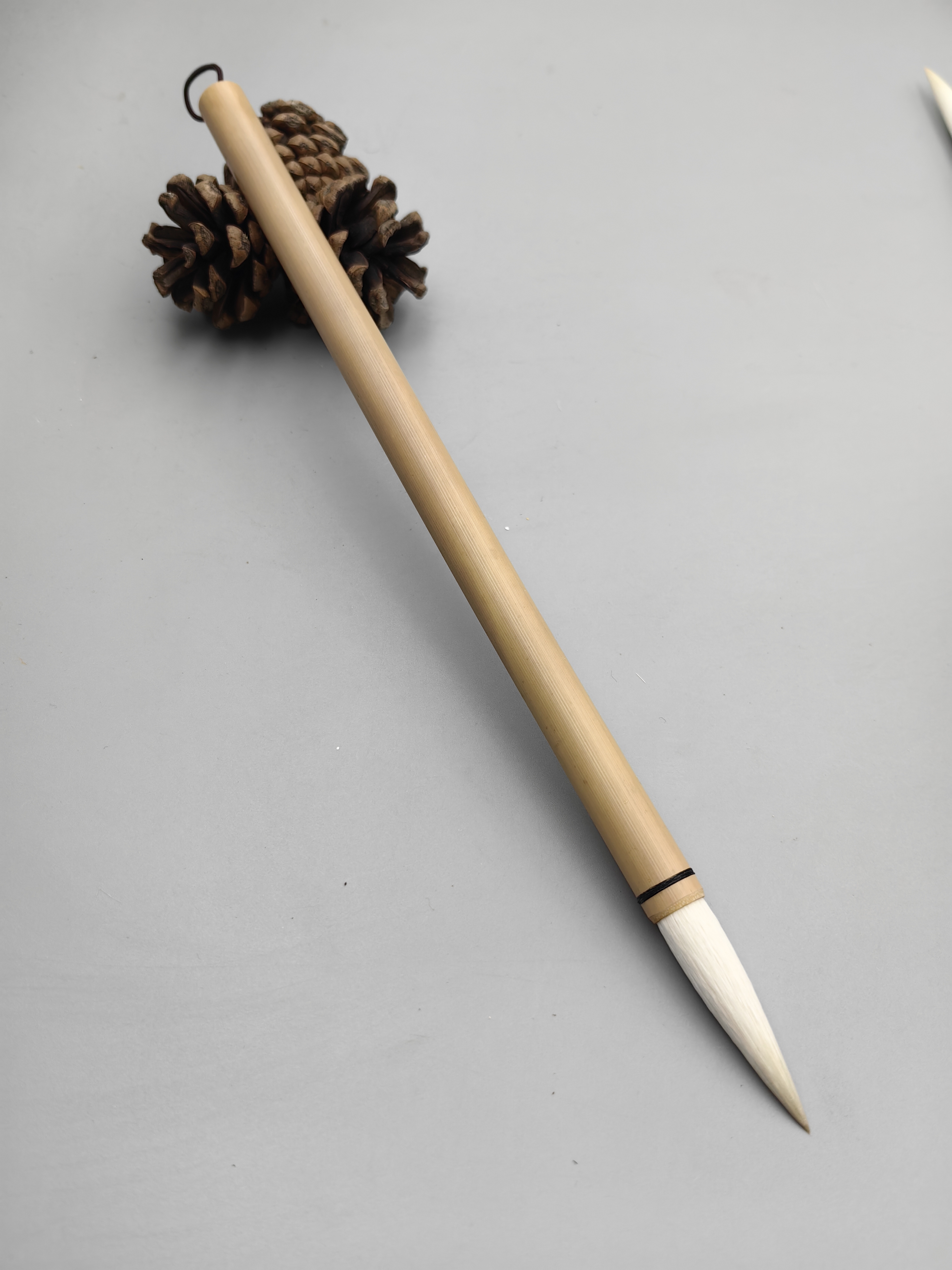 定制款小号蘭蕊，口径0.85m，出锋4cm