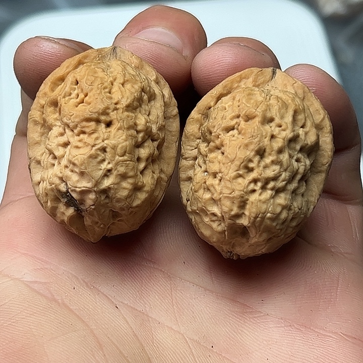 文玩核桃把件56号云铁35尺36克