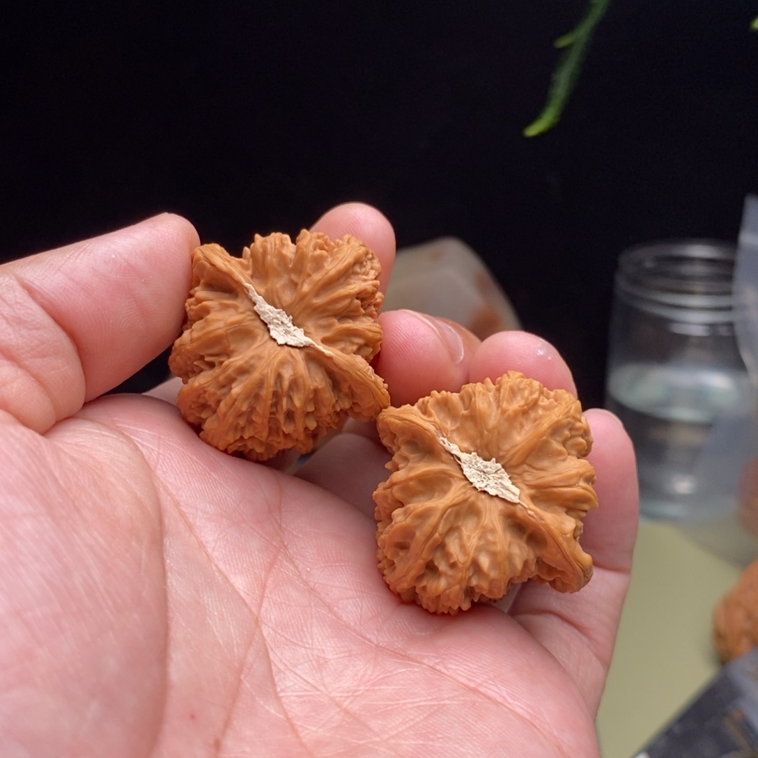 桃核吊坠37全品密文