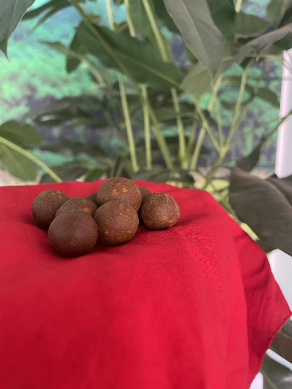 土特产--正宗牛黄