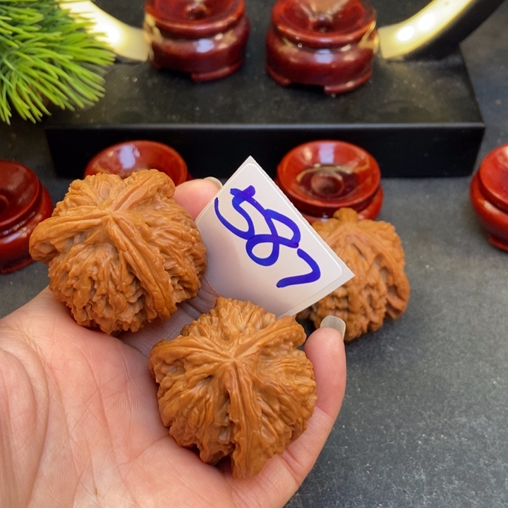 文玩核桃把件海*39尺寸587