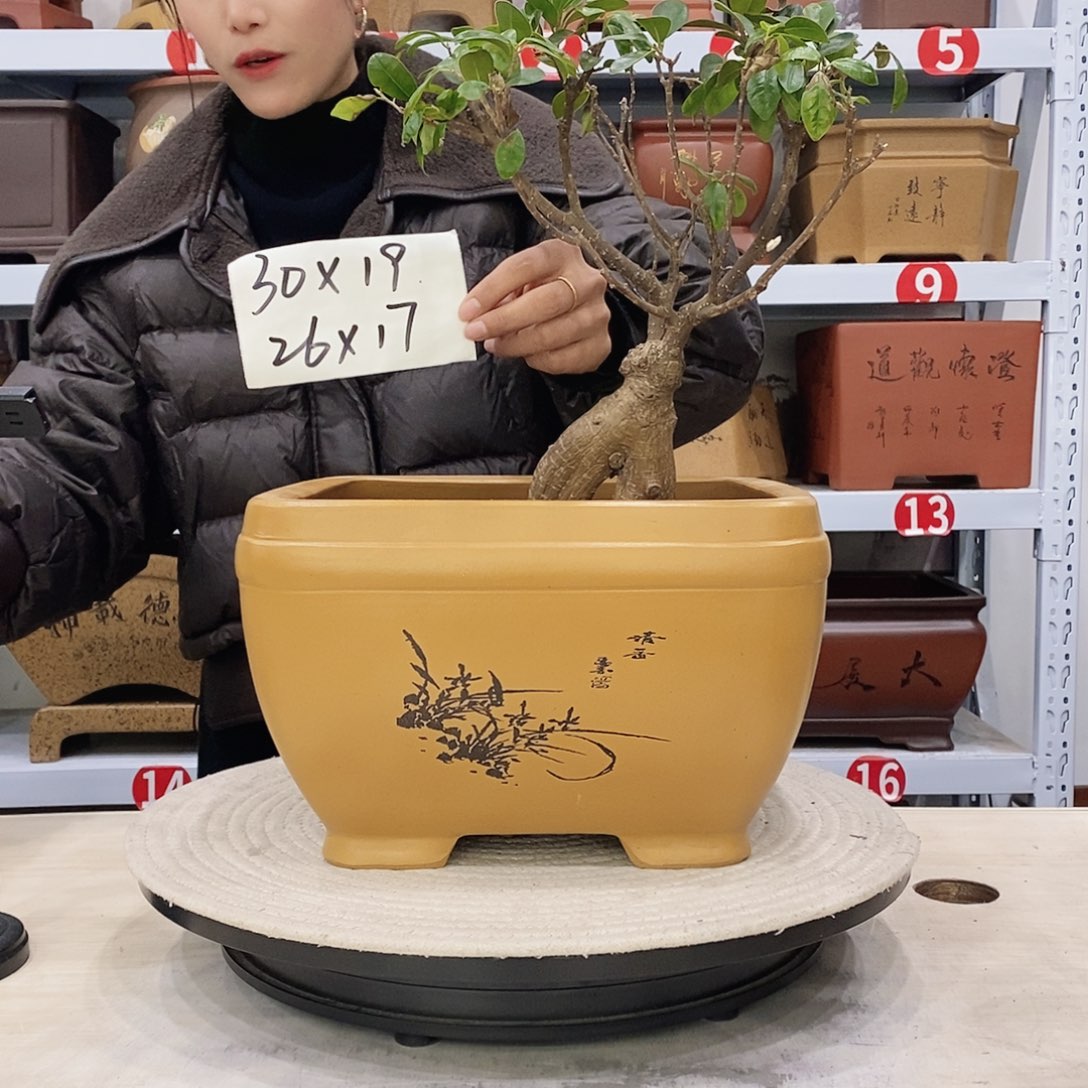 紫砂花盆紫砂花盆