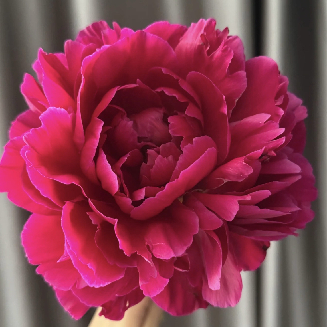 【老忠诚】菏泽基地现货对版直发