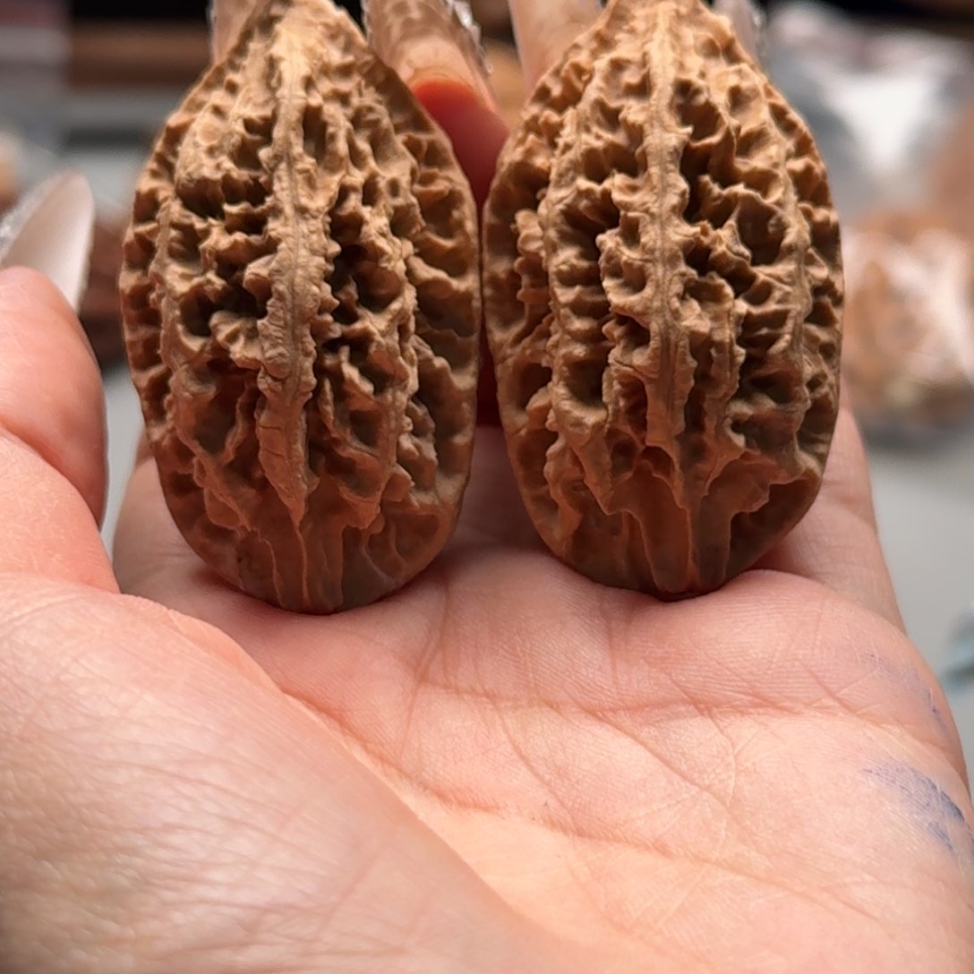 文玩核桃把件关东木子楸百核126