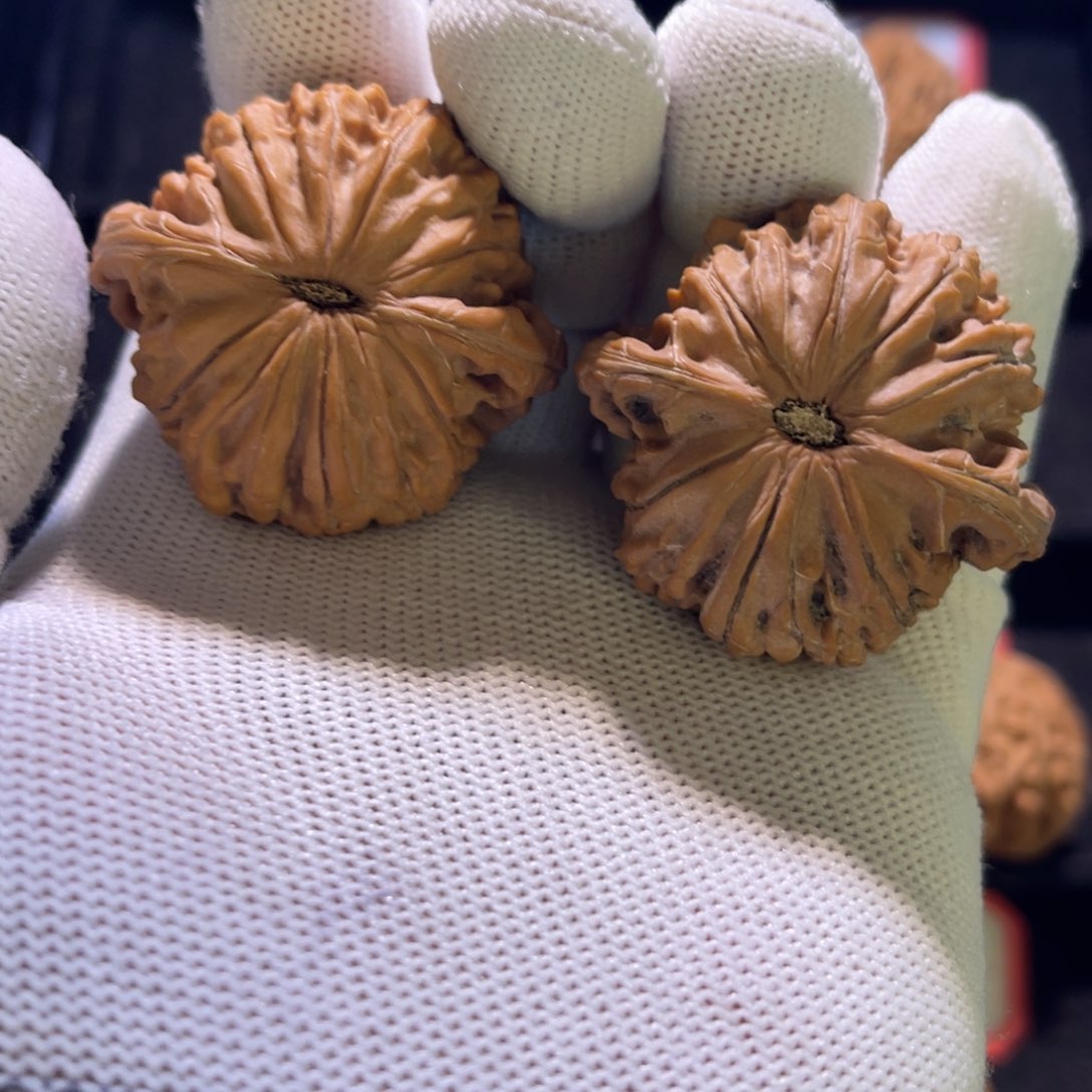 秦皇岛山地果全品42山地磨34