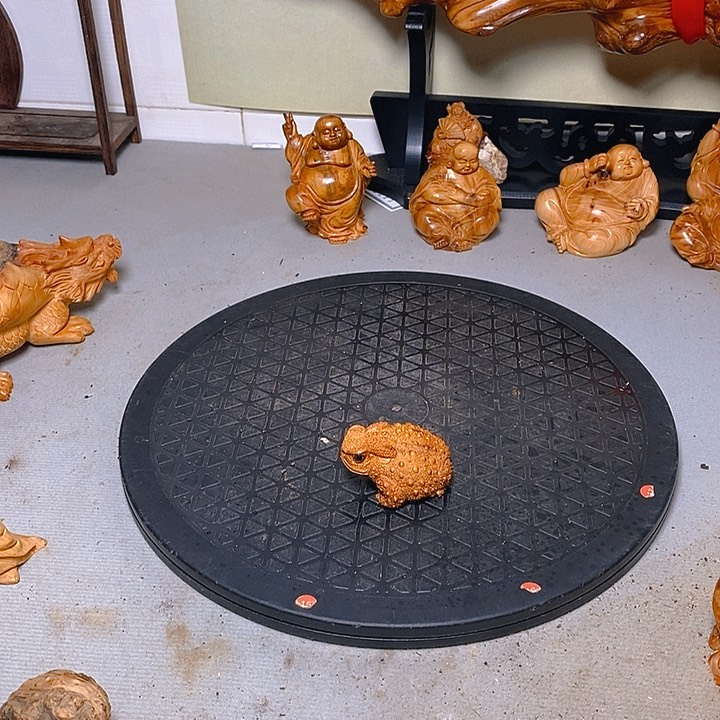 柏木（崖柏）孤**朕太行大峡谷崖柏