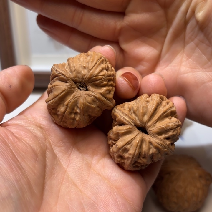 把件文玩核桃元宝