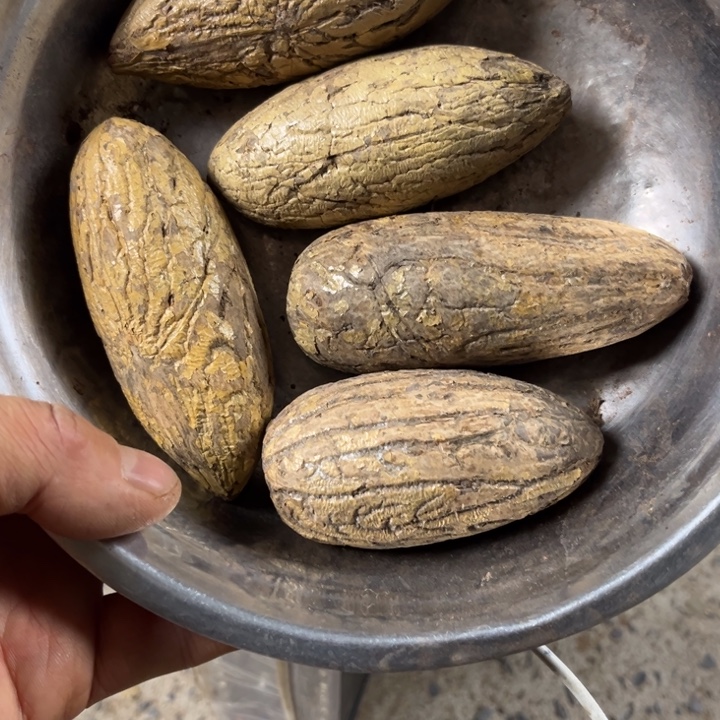 千眼菩提吊坠千眼菩提 51 号。