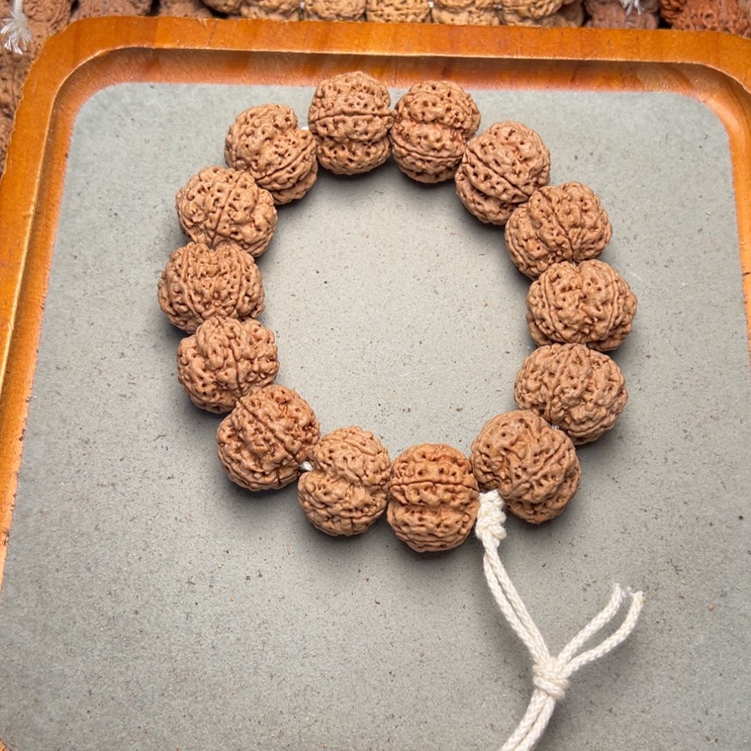 菩提28号金刚菩提深沟梅花25