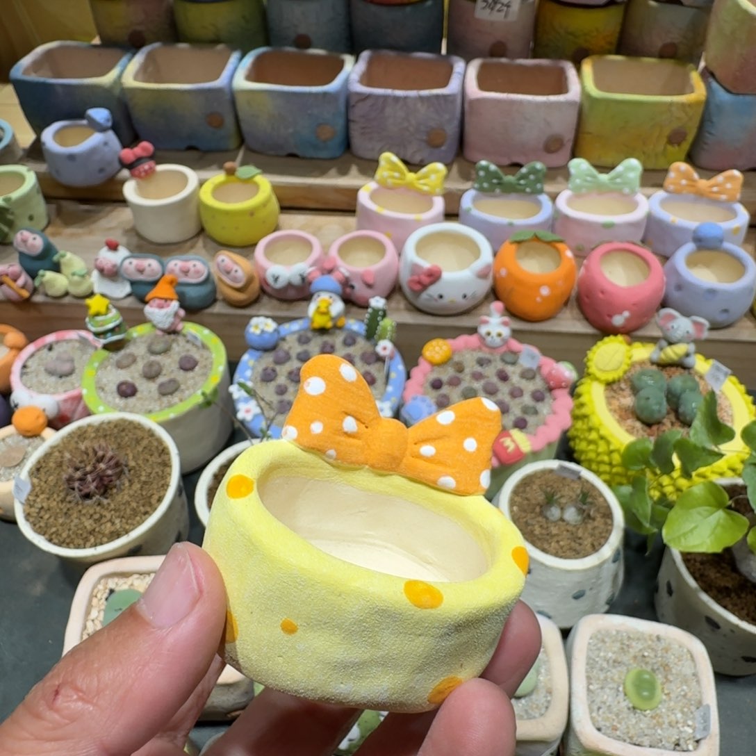 y***ㅤ蘑菇1043花盆花盆花盆