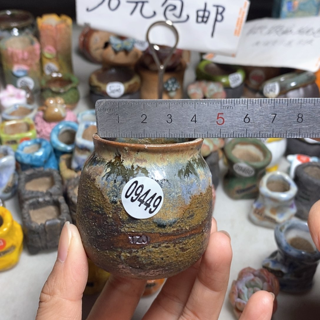 拍5送一个小礼物