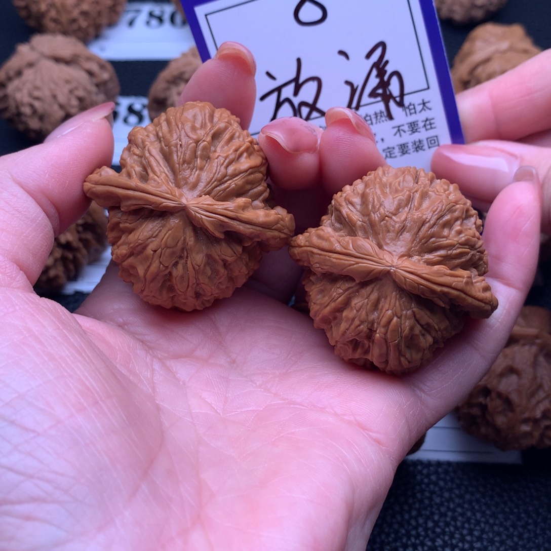 核桃白狮8链接43尺