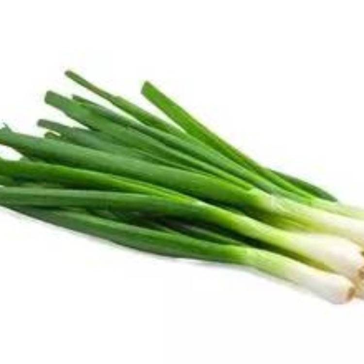 新鲜中葱香葱（菜葱）100g±10g/份