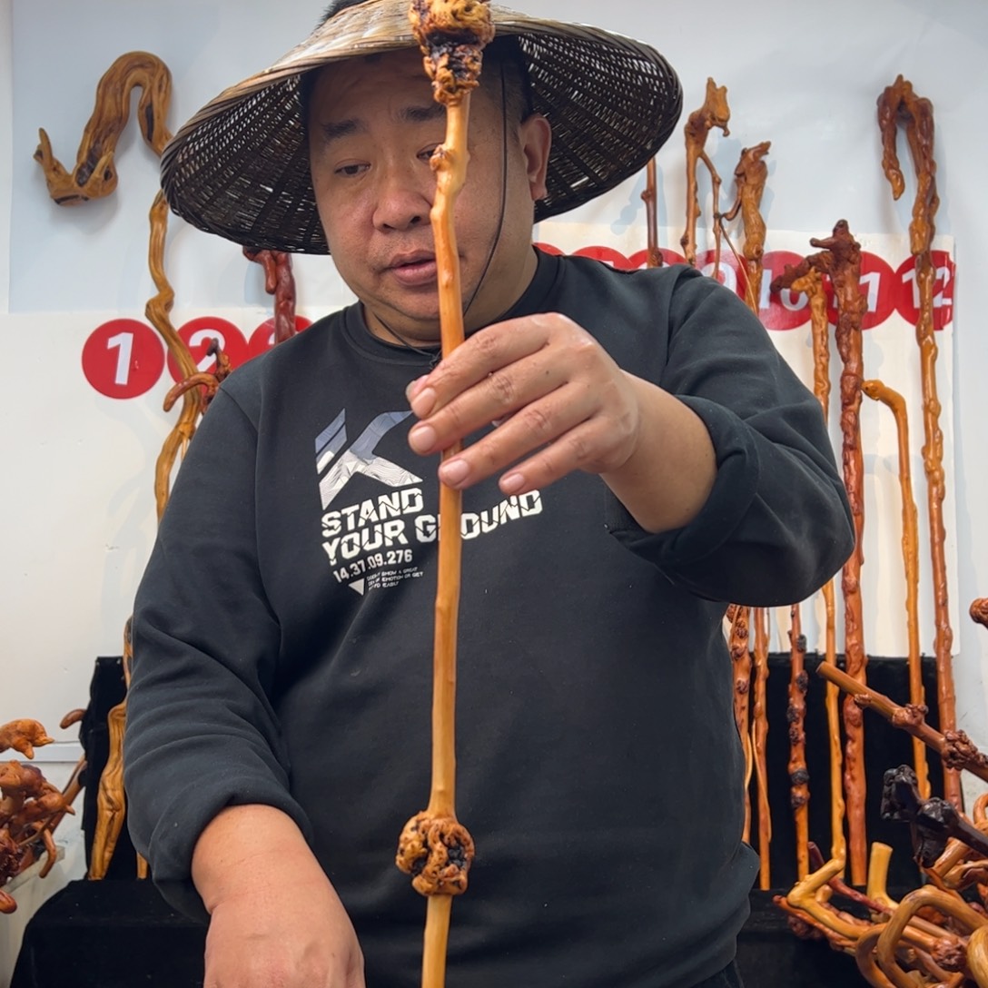 没***体其他黑果木黑果木937