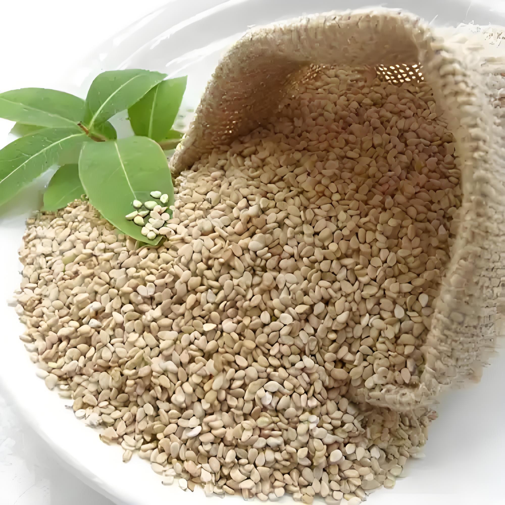 【土疙瘩蕾娃】新 陕北农家芝麻（生）黑芝麻 老黄芝麻