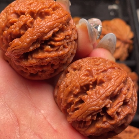 文玩核桃把件秦岭山脉核桃