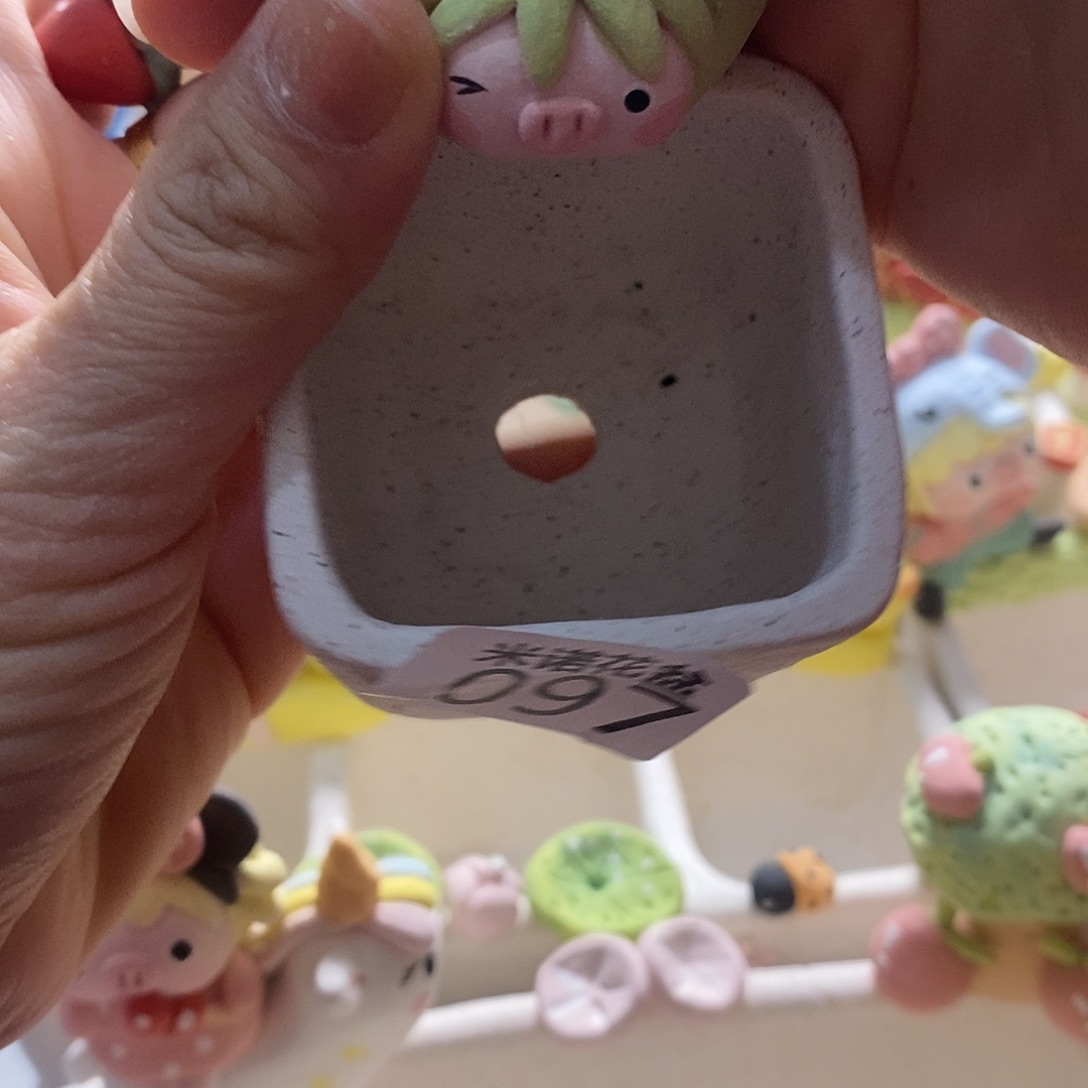 米诺多肉植物花盆097