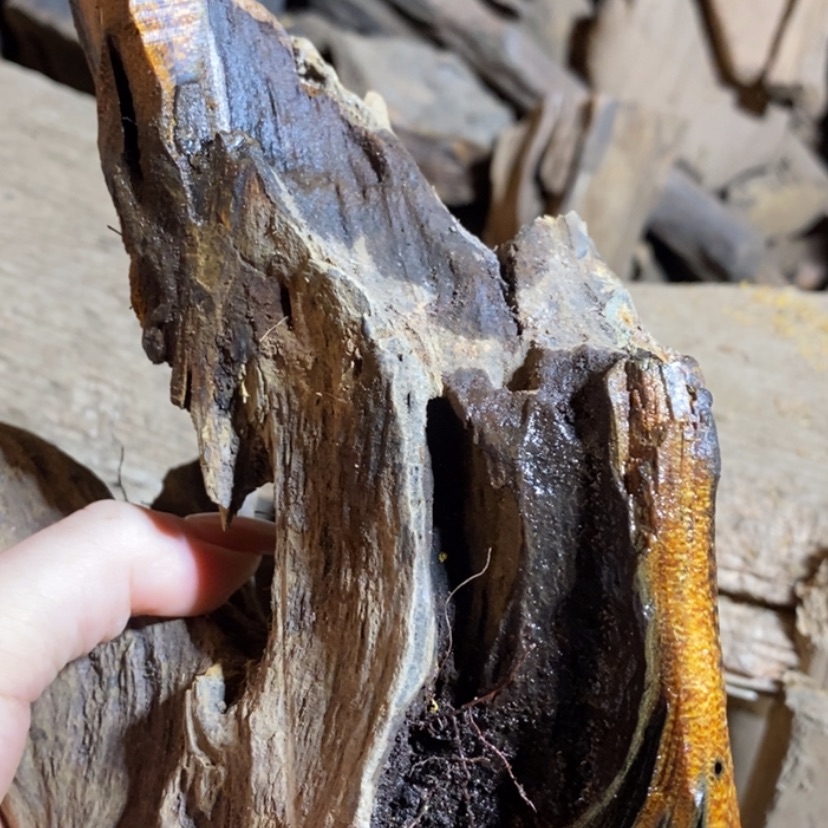 【闪购商品】手串贡木诺*私人订制