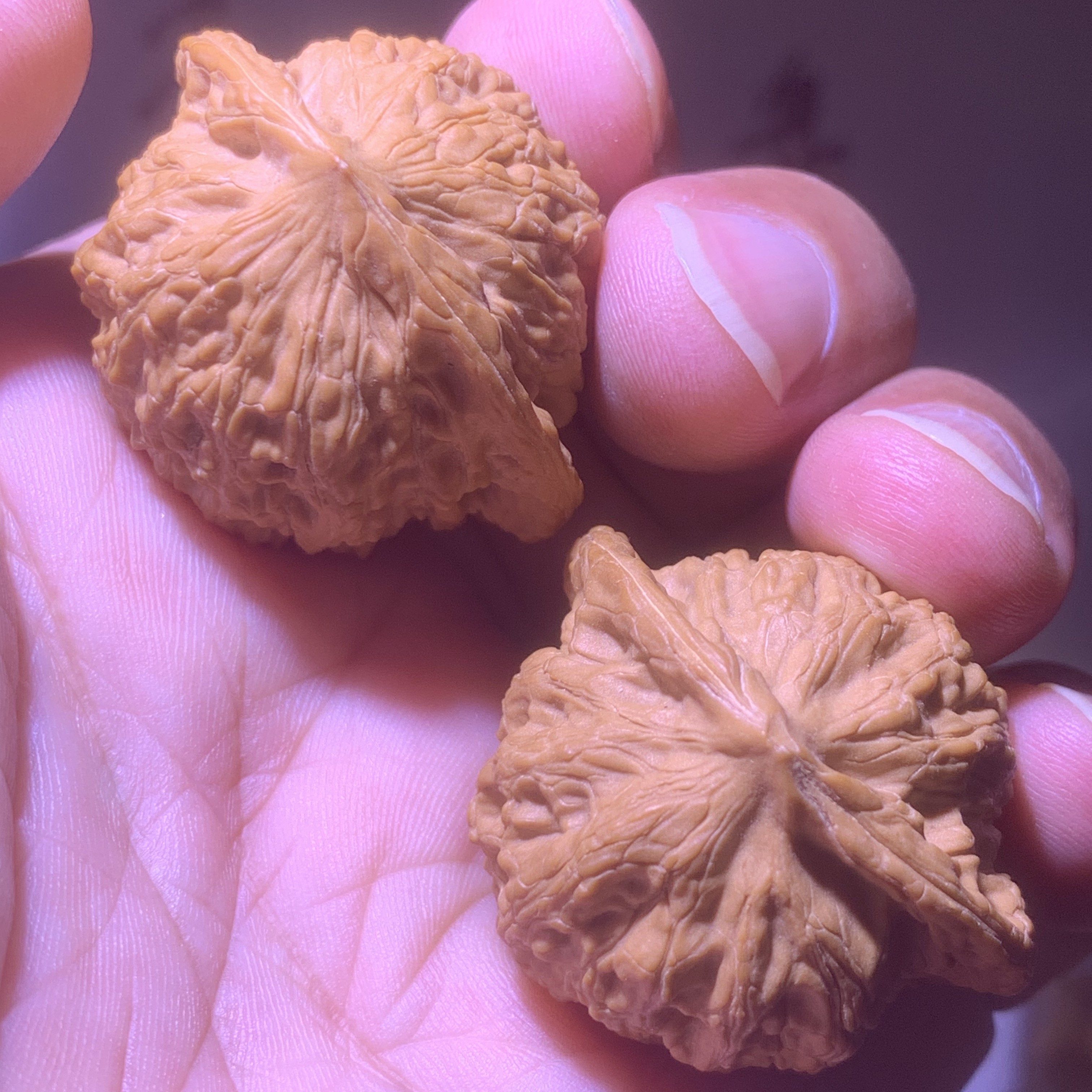 精品盘玩涞水文玩核桃手把件纹路骨质硬密度高红皮爆款一手头茬