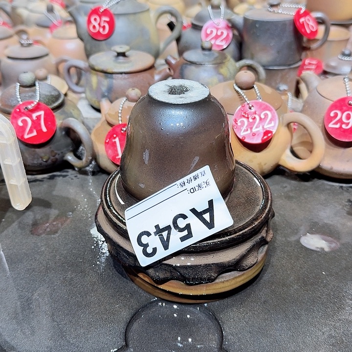 用***8紫砂茶壶坭兴陶柴烧