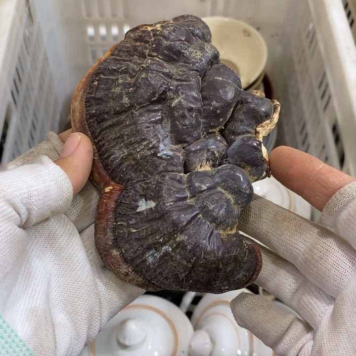 承***钧无纺布家具摆件家具摆件