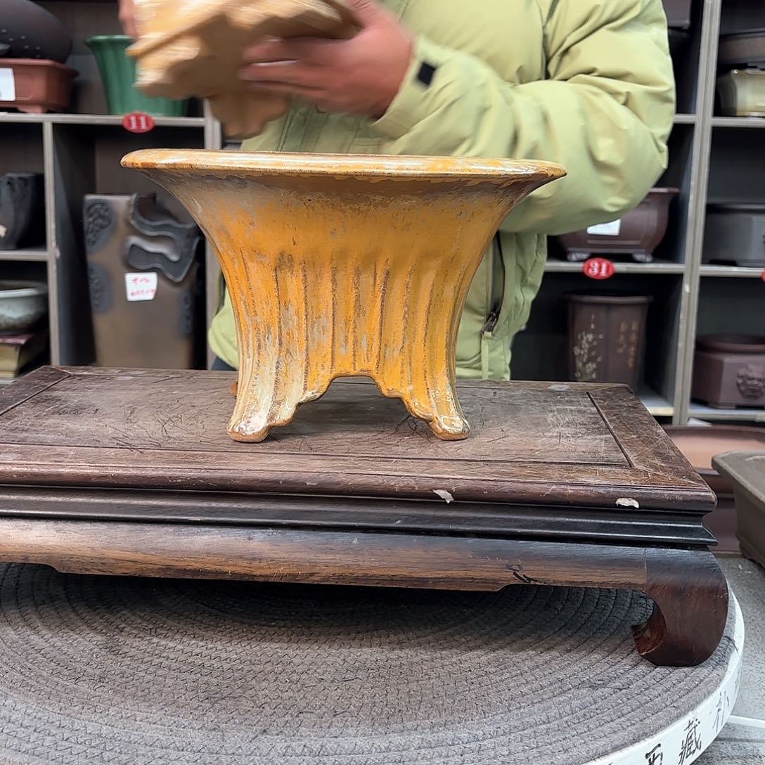 紫砂花盆輕**生紫砂的味道很好闻