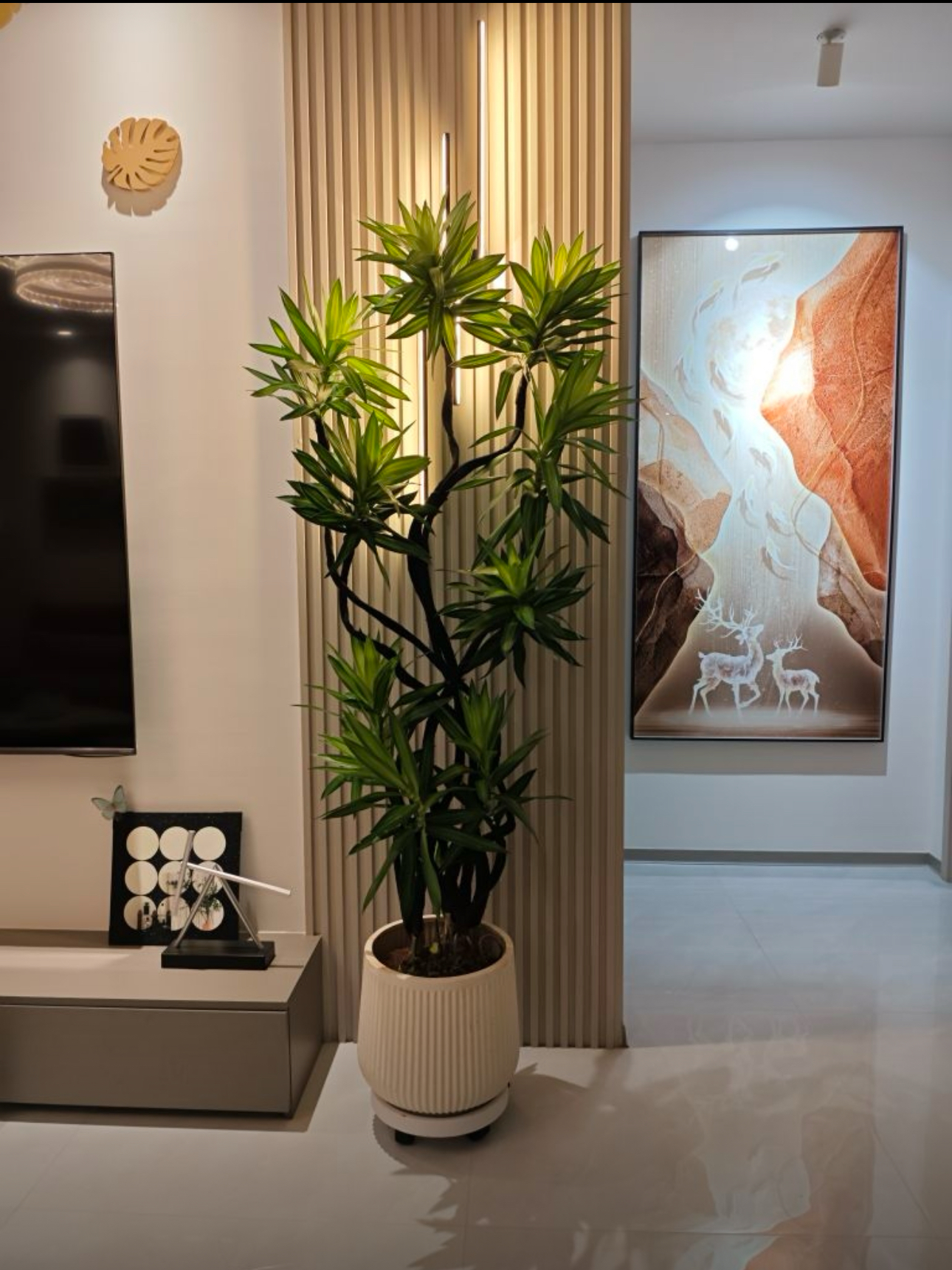 大盆栽绿植造型室内外大型绿植好绿植客厅大摆件好百合竹大盆栽