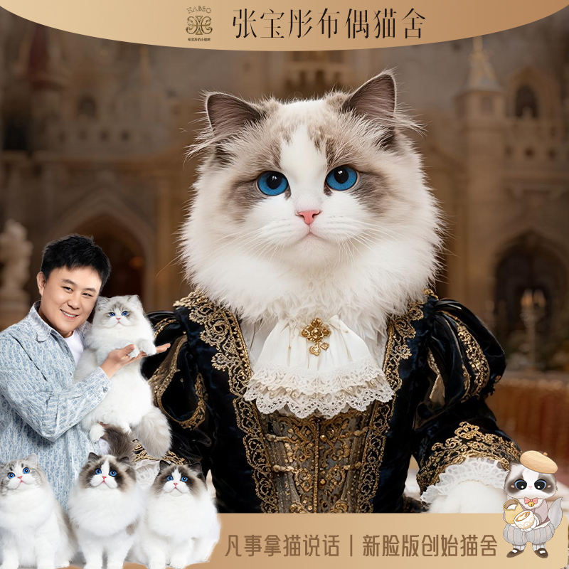 张宝彤布偶猫舍-小淘气弟弟 | 新脸版创始猫舍