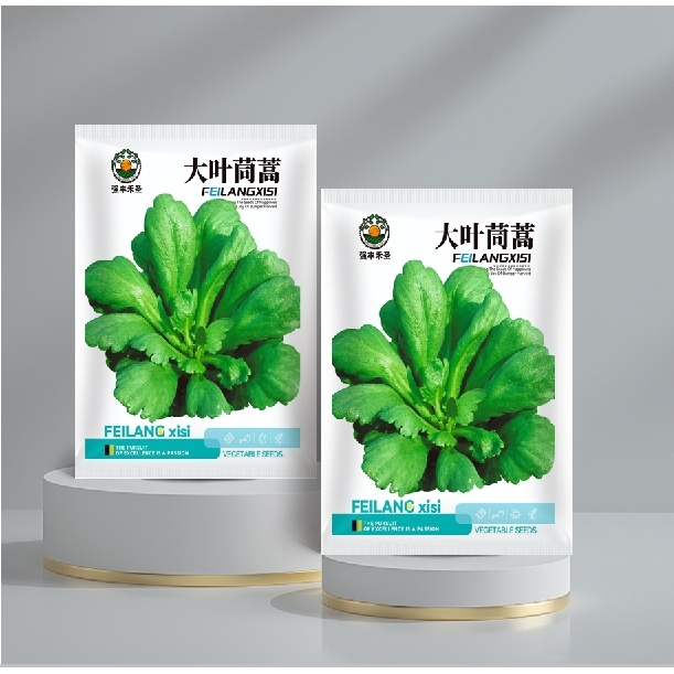 大叶茼蒿种子（包装袋13x19厘米）每包约800粒左右【全店满4.9包邮】